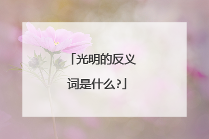 光明的反义词是什么?