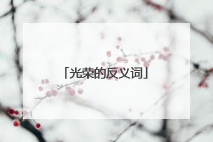 光荣的反义词