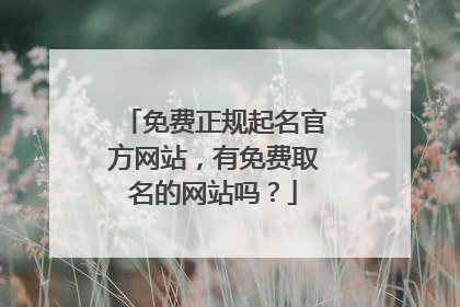 免费正规起名官方网站,有免费取名的网站吗?