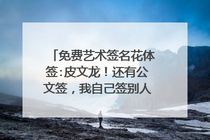 免费艺术签名花体签:皮文龙！还有公文签，我自己签别人的名字都写得比自己的好看好多~