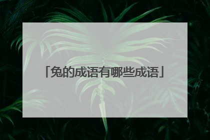 兔的成语有哪些成语