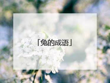 兔的成语
