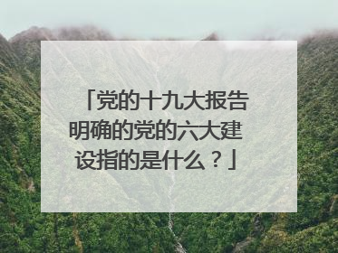 党的十九大报告明确的党的六大建设指的是什么？