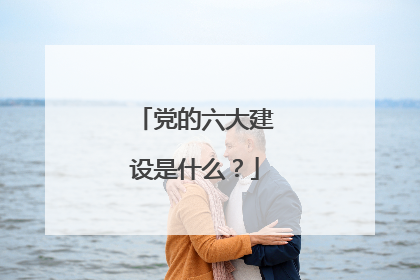 党的六大建设是什么？