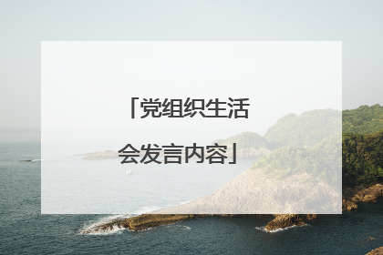 党组织生活会发言内容