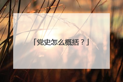 党史怎么概括?