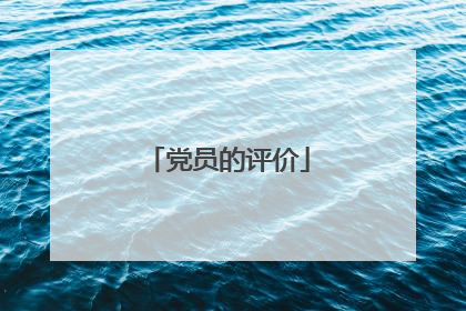党员的评价