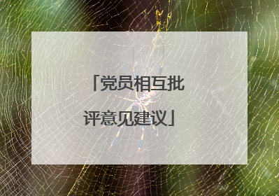 党员相互批评意见建议