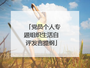 党员个人专题组织生活自评发言提纲