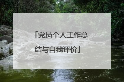 党员个人工作总结与自我评价
