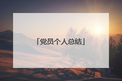 党员个人总结
