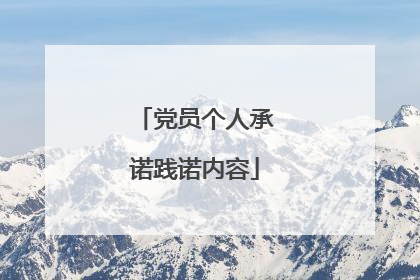党员个人承诺践诺内容