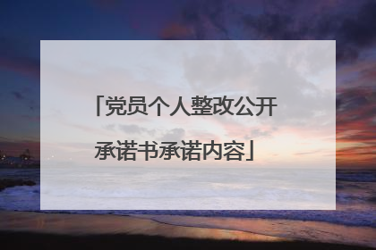 党员个人整改公开承诺书承诺内容
