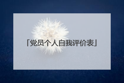 党员个人自我评价表
