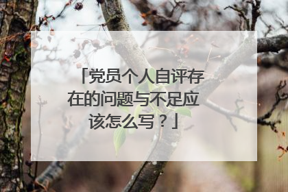 党员个人自评存在的问题与不足应该怎么写？