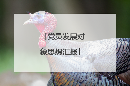 党员发展对象思想汇报