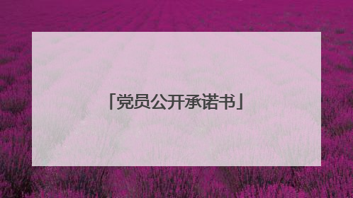 党员公开承诺书