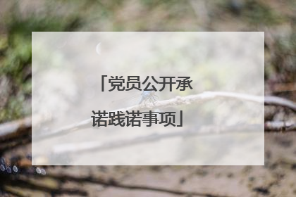 党员公开承诺践诺事项