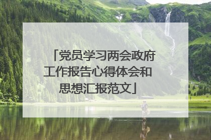 党员学习两会政府工作报告心得体会和思想汇报范文