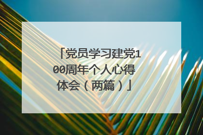 党员学习建党100周年个人心得体会（两篇）
