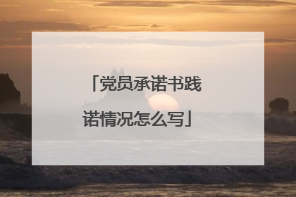 党员承诺书践诺情况怎么写