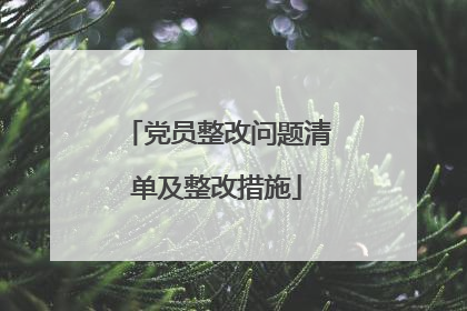党员整改问题清单及整改措施
