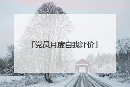 党员月度自我评价
