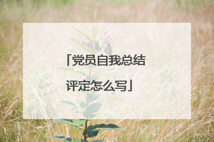 党员自我总结评定怎么写