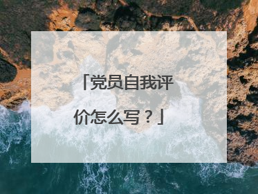 党员自我评价怎么写？