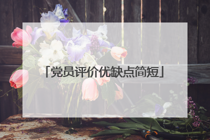 党员评价优缺点简短