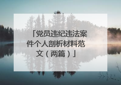 党员违纪违法案件个人剖析材料范文（两篇）
