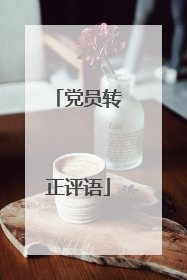 党员转正评语