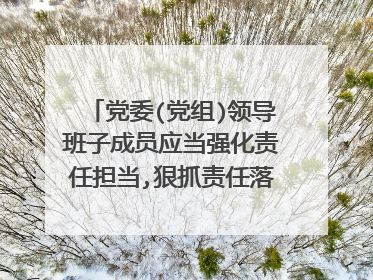 党委(党组)领导班子成员应当强化责任担当,狠抓责任落实,增强什么?