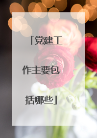 党建工作主要包括哪些