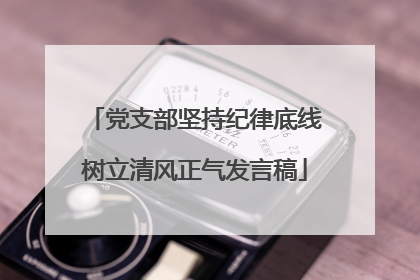 党支部坚持纪律底线树立清风正气发言稿