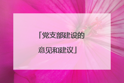 党支部建设的意见和建议