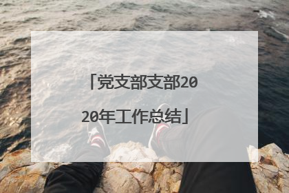 党支部支部2020年工作总结