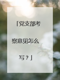 党支部考察意见怎么写？