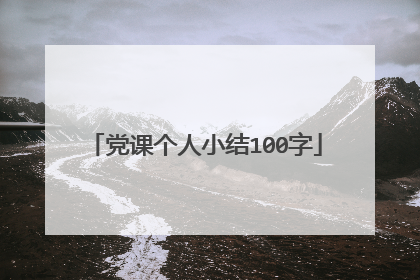 党课个人小结100字