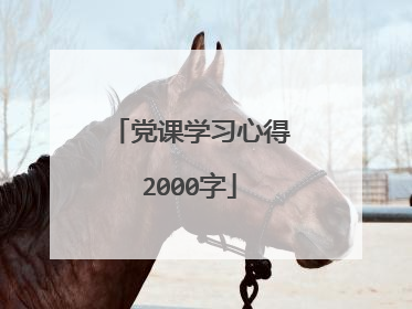 党课学习心得2000字