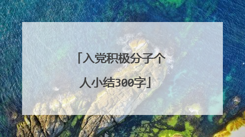 入党积极分子个人小结300字