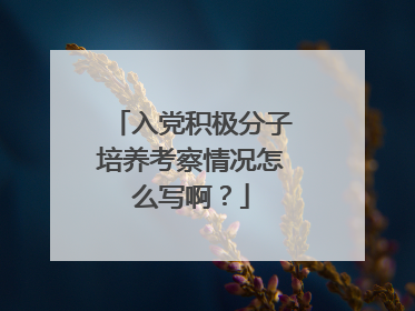 入党积极分子培养考察情况怎么写啊?
