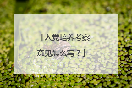 入党培养考察意见怎么写？