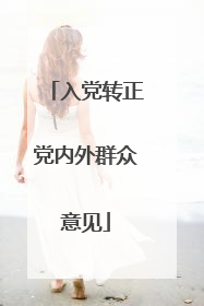 入党转正党内外群众意见