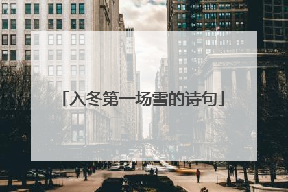 入冬第一场雪的诗句