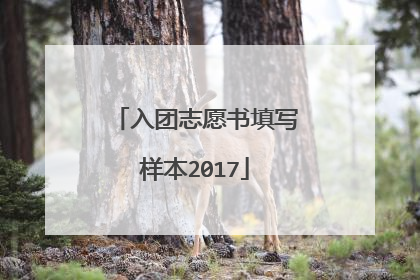入团志愿书填写样本2017