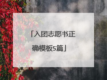 入团志愿书正确模板5篇