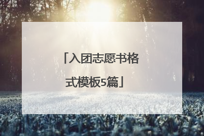 入团志愿书格式模板5篇