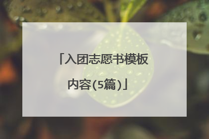 入团志愿书模板内容(5篇)