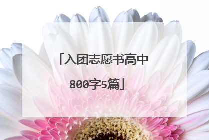 入团志愿书高中800字5篇